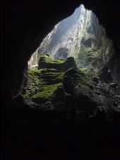 The unexpected jungle in the cave. 'Watch out for Dinosaurs'.: by sharpefocus, Views[332]