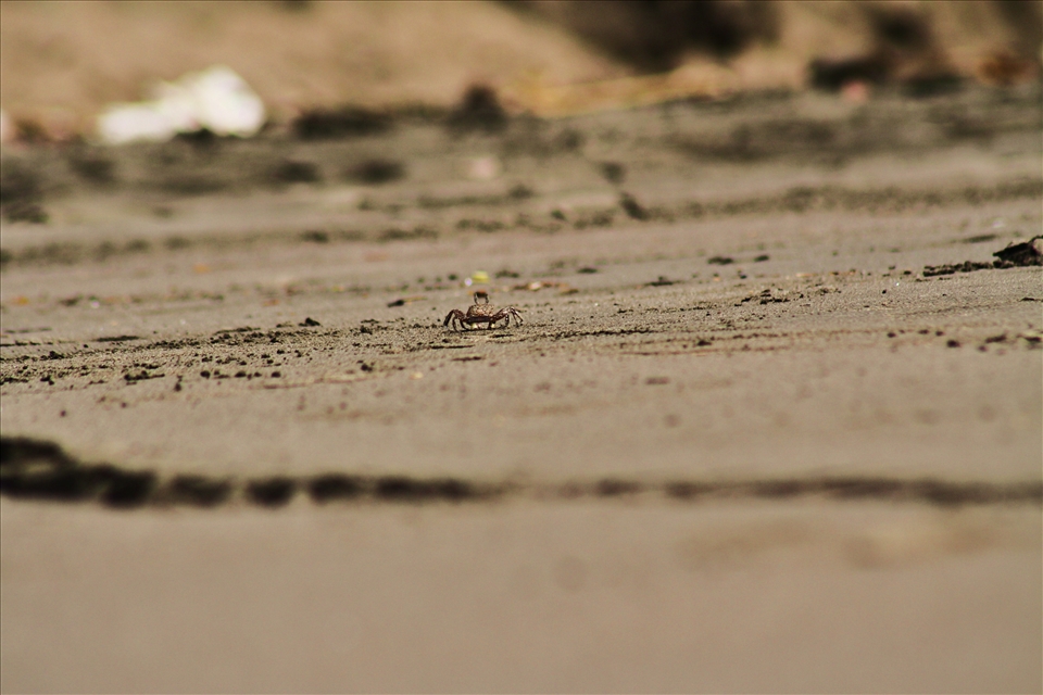 Spent a good chunk of my day laying on Playa de Jaco trying to get this shot.