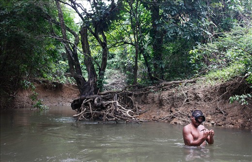 Calvin is spear diving for fish in the Cumitu creek.