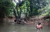 Calvin is spear diving for fish in the Cumitu creek.: by shawkins, Views[135]
