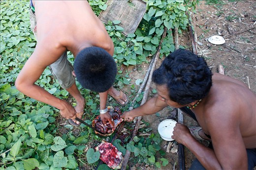 Uncle Jerrybell showing his son Cain how to cut open a turtle. It is very important to pass down traditions. 
