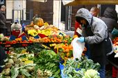 An open-air market, Campo di Fiori, is home to many tables of Italians selling their freshest fruit and vegetables. No matter rich or poor, native or tourist, everyone comes to this market to either buy food or watch common scenes of life unfold. A woman carefully selects only the best blood oranges for herself.: by shawn_paone, Views[793]