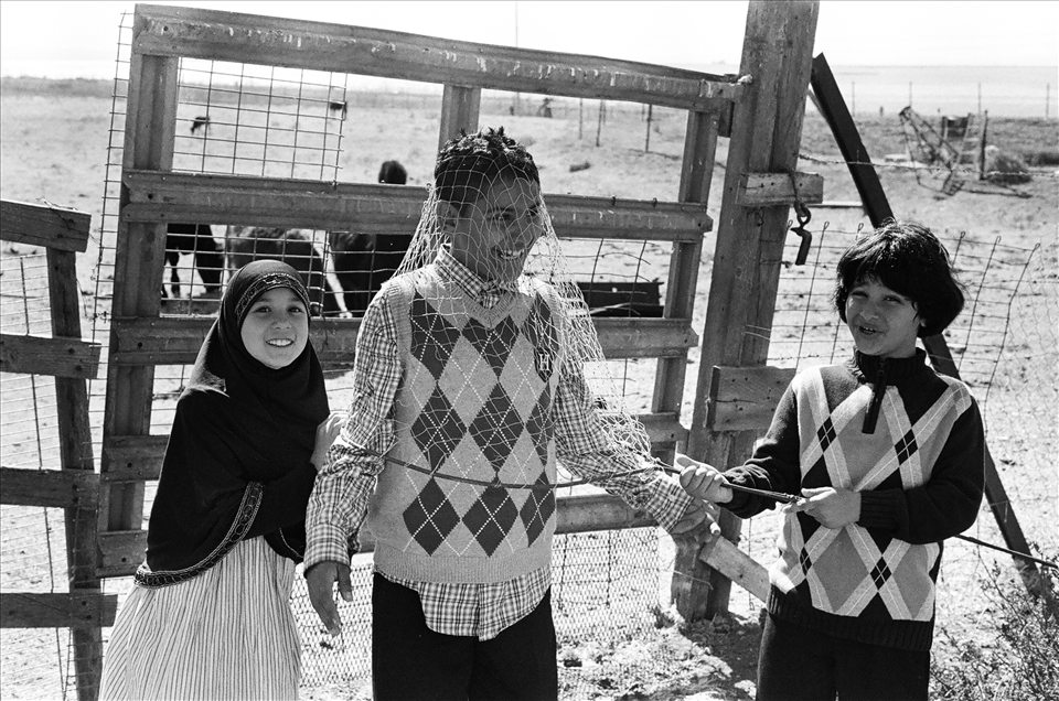 Farah [Left] , Jammal [Center], & Wasim [Right] play “capture the animal” outside the American Canyon Farm in Vallejo, California, as sacrifices continue inside on October 15th, 2013. Farah wears a hijab, a headscarf, worn by Muslim women as a symbol of modesty. 