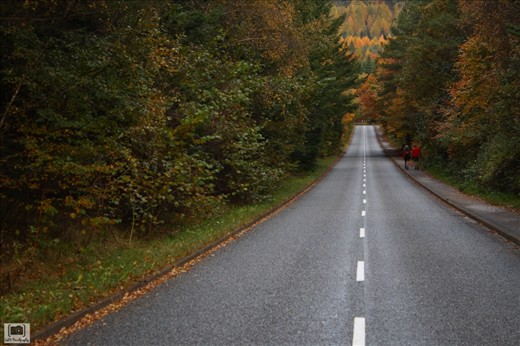 The road is so straight, led us on our way just like the path of life. 