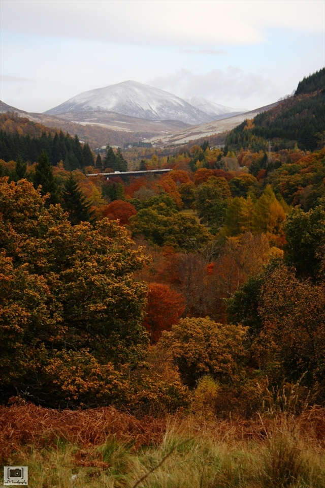 The mountain ahead was impatient to show us that winter is coming. Can't wait for some skiing session when the snow built up. It was lucky to have a train passed through the woods when the shot was taken. 