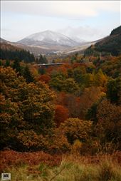 The mountain ahead was impatient to show us that winter is coming. Can't wait for some skiing session when the snow built up. It was lucky to have a train passed through the woods when the shot was taken. : by shayne_lee, Views[279]