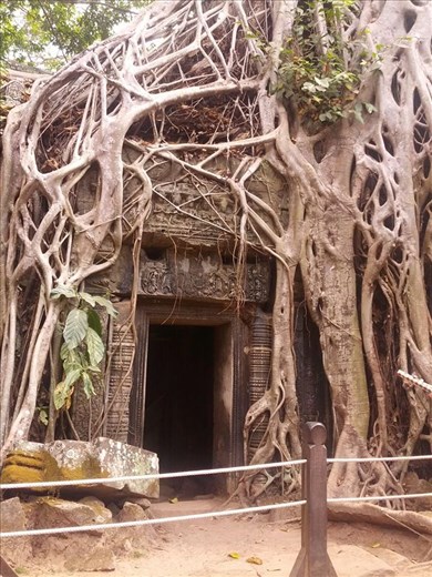 Ta Prohm