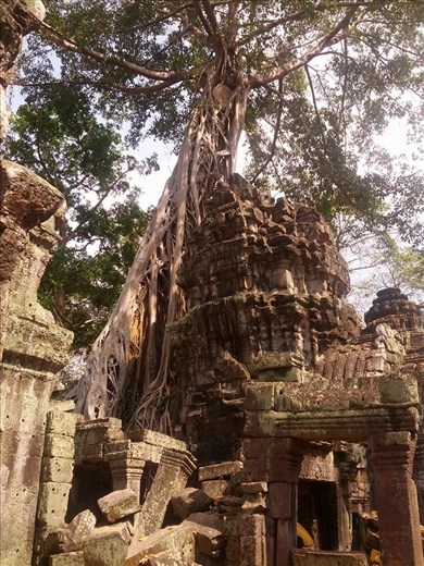 Ta Prohm