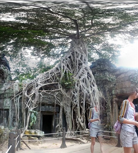 Ta Prohm