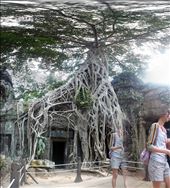 Ta Prohm: by shayshine, Views[117]