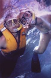 Snorkeling on the Great Barrier Reef: by shayshine, Views[206]