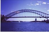 Sydney Harbor Bridge ... I climbed this thing!: by shayshine, Views[114]