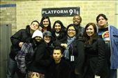 Platform 9 3/4 in Kings Cross Station: by shayshine, Views[125]