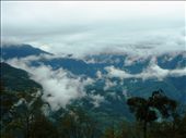 by shaz, Views[415]