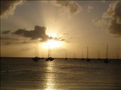 by shaz, Views[244]