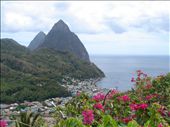 by shaz, Views[851]