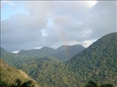 by shaz, Views[372]