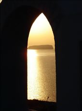 by shaz, Views[289]