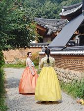 by shaz, Views[238]