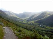 by shaz, Views[279]