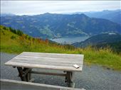 by shaz, Views[227]