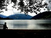 by shaz, Views[719]