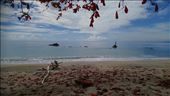 by shaz, Views[290]
