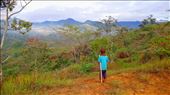 by shaz, Views[287]