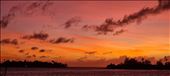 by shaz, Views[119]