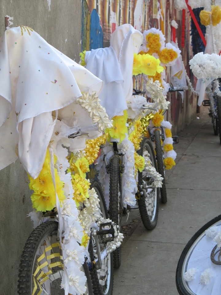 Waiting for the parade to begin, the decorated bikes anticipate their riders.