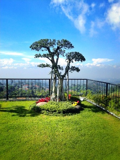 Waking up in the morning with a view like this is such a bliss! Peacefull :) 