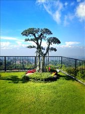 Waking up in the morning with a view like this is such a bliss! Peacefull :) : by sheilasafira, Views[357]