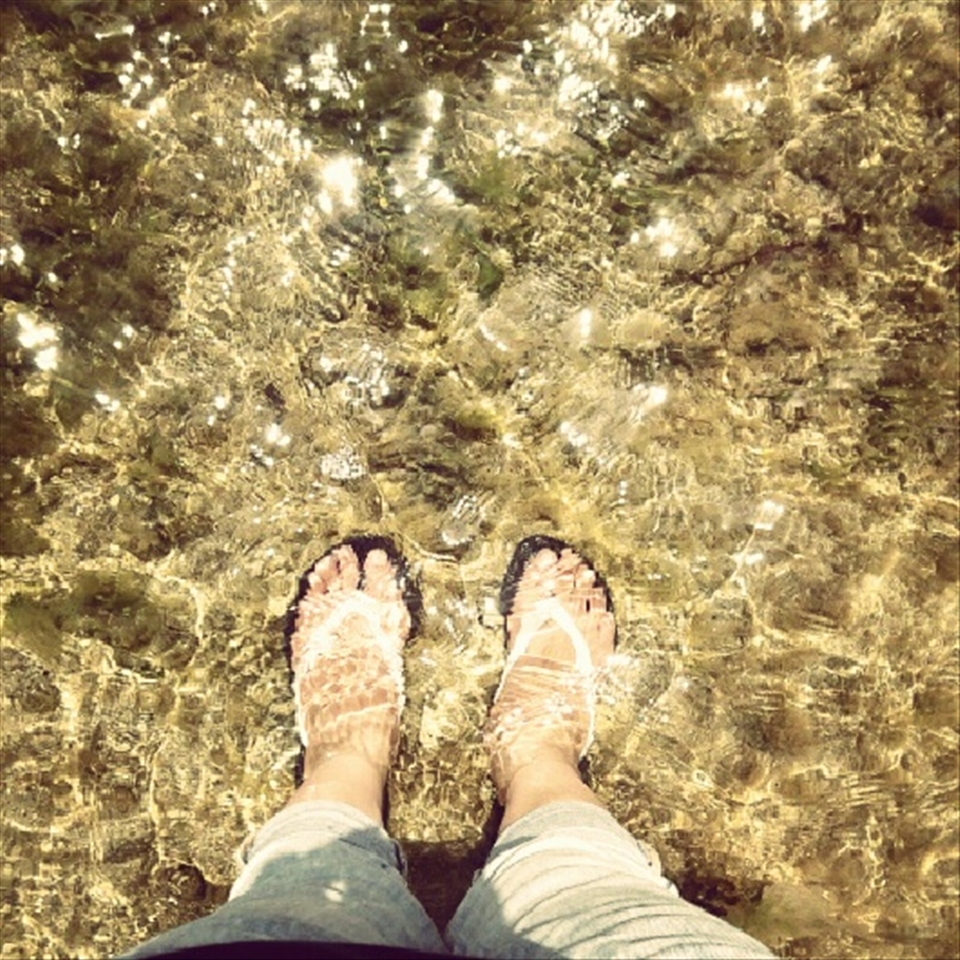 Clear water. Reflection of sunlight. Standing alone.