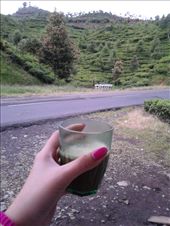 The best way to enjoy a cup of hot coffee: by sheilasafira, Views[261]