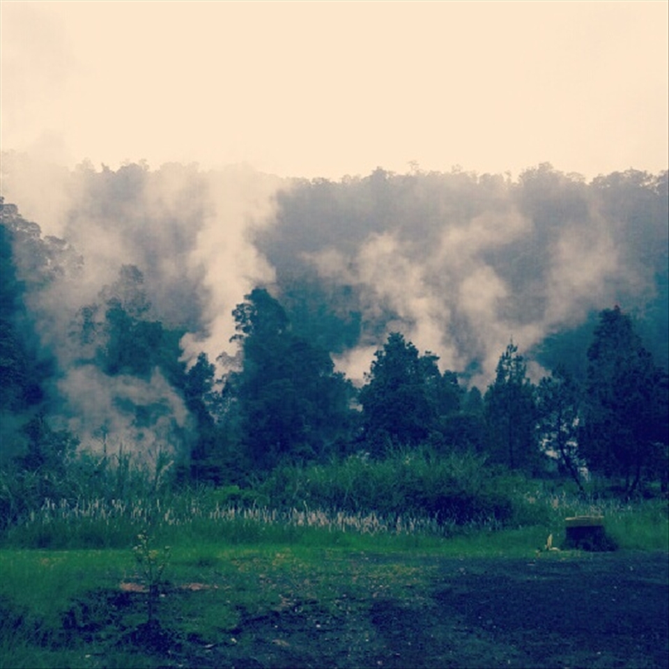Kamojang Crater  - Indonesia