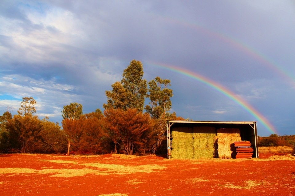 It's extremely rare to witness a rainbow in any desert due to the lack of rainfall. I was lucky enough to see this vibrancy of colour appear in contrast to the grey sky after a sunshower, shining brightly over the camel farm.