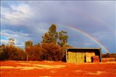 It's extremely rare to witness a rainbow in any desert due to the lack of rainfall. I was lucky enough to see this vibrancy of colour appear in contrast to the grey sky after a sunshower, shining brightly over the camel farm.: by sheree, Views[670]