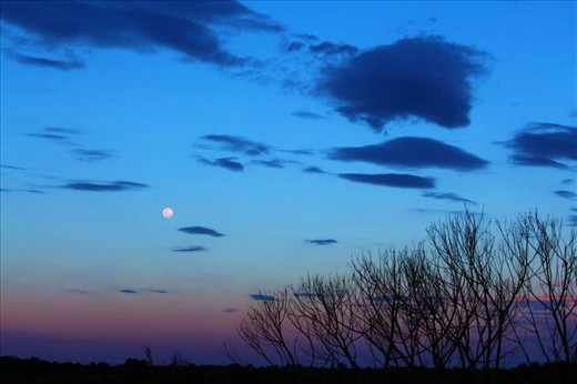 The silhouette of a barren landscape looked alive against the brilliant colour of the great southern sky. This was my last photo taken in the outback as the moon shined luminously filling the land with beauty and wonderment. 