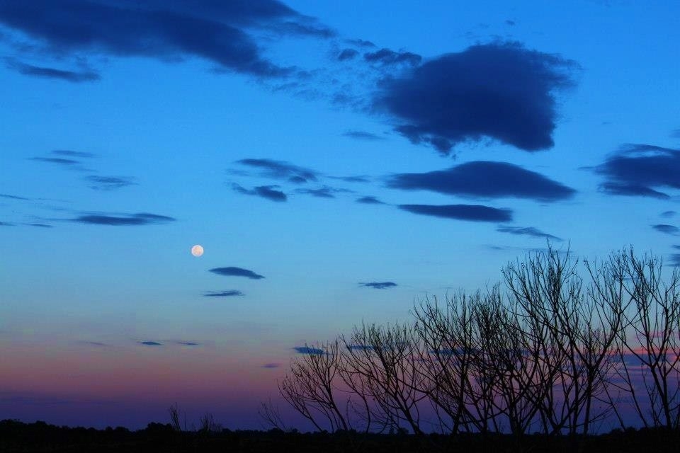 The silhouette of a barren landscape looked alive against the brilliant colour of the great southern sky. This was my last photo taken in the outback as the moon shined luminously filling the land with beauty and wonderment. 