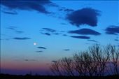 The silhouette of a barren landscape looked alive against the brilliant colour of the great southern sky. This was my last photo taken in the outback as the moon shined luminously filling the land with beauty and wonderment. : by sheree, Views[817]
