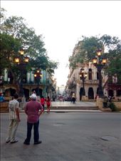 by sheree, Views[153]