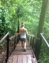 by sheree, Views[234]