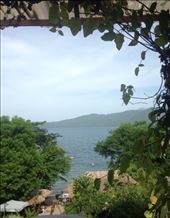 by sheree, Views[149]