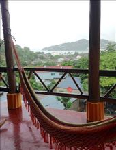 by sheree, Views[254]