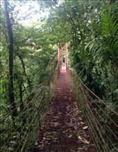 by sheree, Views[292]