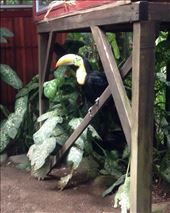 by sheree, Views[257]