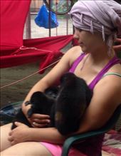 by sheree, Views[222]