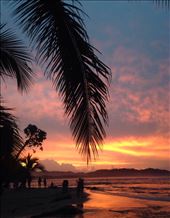 by sheree, Views[316]