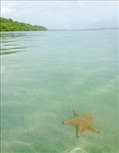 by sheree, Views[240]