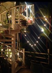 by sheree, Views[195]